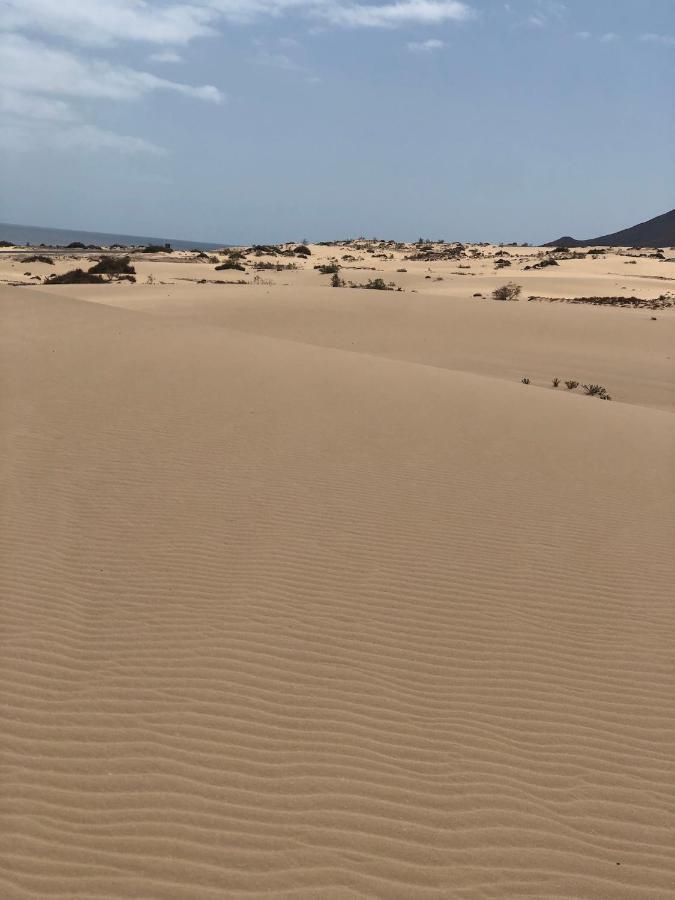ホテル Vereda De Las Camellas プエルト・デル・ロサリオ エクステリア 写真