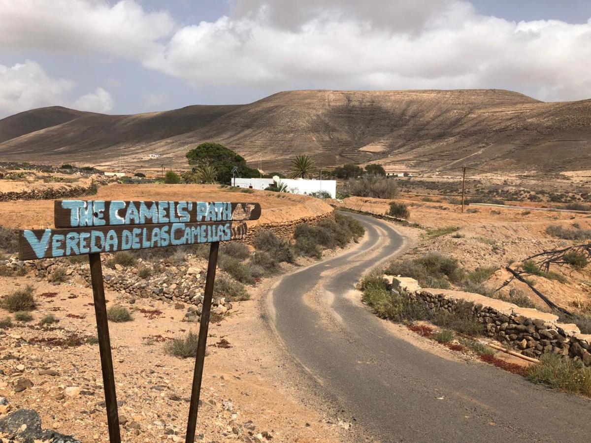 ホテル Vereda De Las Camellas プエルト・デル・ロサリオ エクステリア 写真
