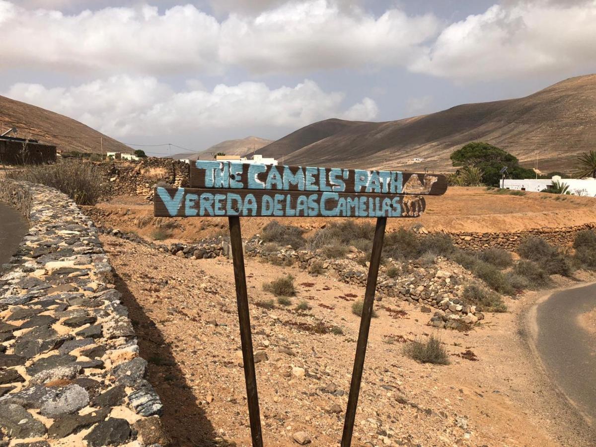 ホテル Vereda De Las Camellas プエルト・デル・ロサリオ エクステリア 写真